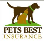 pet health insurance
