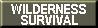 Top 100 Sites Wilderness Survival